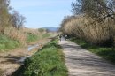 Levée du Ceinturon (Hyères)